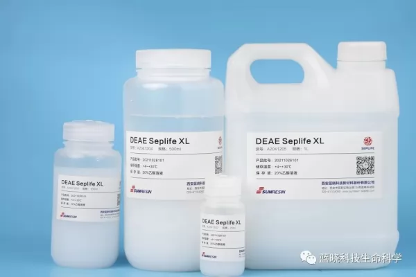 DEAE Seplife XL